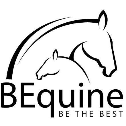 Internationally renowned designers and makers of Magnetic Therapy Rugs and Headbands for the Equine Industry