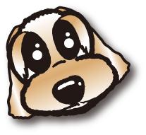 にゃんことバイクとアイマスを愛するゆるラブライバー。愛猫はぺこちゅーさん♂