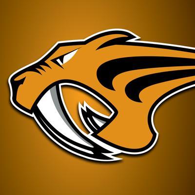Mumbai_Sabers Profile Picture