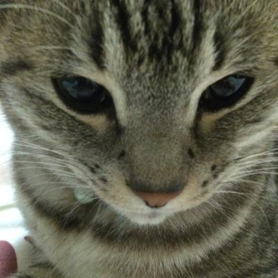 アオハライド大好き