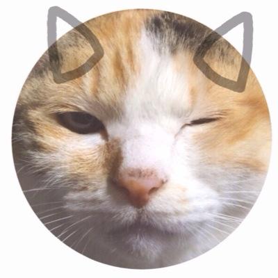米　早炊きでJKギャン泣き