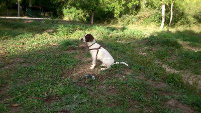 romeritooo428's profile picture. Que yo sé que la sonrisa que se dibuja en mi cara tiene que ver con la brisa que abanica tu mirada ~8~