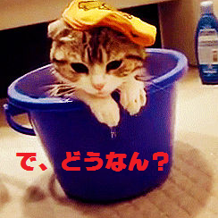 FXbigman's profile picture. ＦＸ・WCtake氏の無料メルマガ（http://t.co/40t6mamti1）＆マイトレードでの成果を日々公開中です。