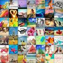 Emily Stenzel - @StenzelEmily - Twitter