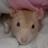 Topazrat's profile image