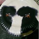 Imogen cole - @bimms12 - Twitter