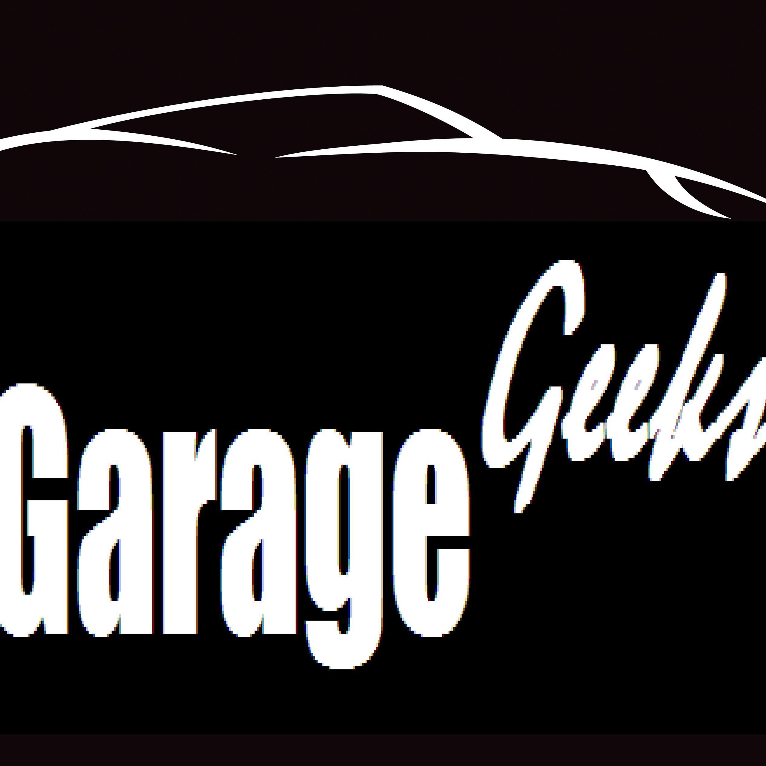 geeks_garage's profile picture. 