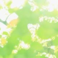 辻堂ゆめ (@yumetsujido) Twitter profile photo