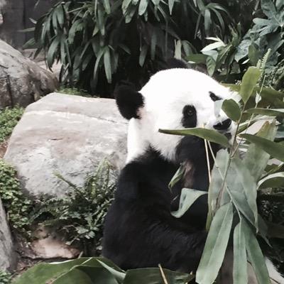 jonnyhongkong's profile picture. 