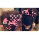 Sara Pearce - @xMissSaraStyles - Twitter