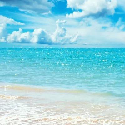 2507755869's profile picture. 