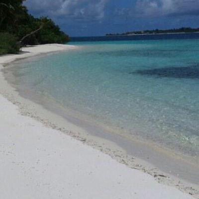 travelguraidhoo's profile picture. information & travel tips on guest houses...Kaafu Atoll Guraidhoo Maldives