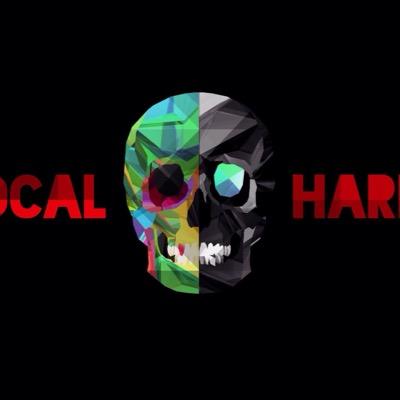Vocal Harem is a touring collective of lyricists, musicians, dj's and hip hop innovators. Its about showcasing talent right across the genre. Peace.