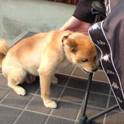 いまは亡き ChatPadラウンジの民。