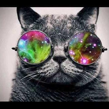 Gato zueiro das Galaxias