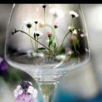 Dalal Olaqi ★ (@dalalolaqi) Twitter profile photo