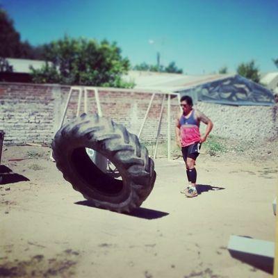 PROFESOR EDUCACION FISICA
ENCARGADO SALA MUSCULACION SAN JAVIER
