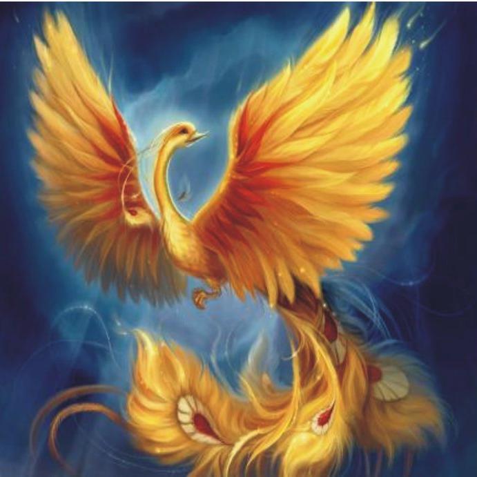 12elen's profile picture. 