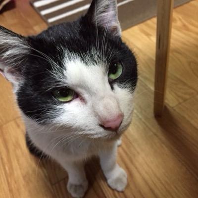 joshuatree1912's profile picture. 