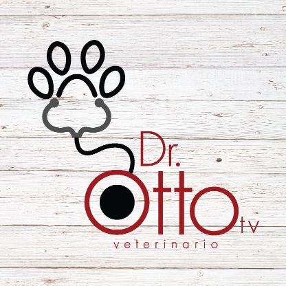 Dr. Otto Tv