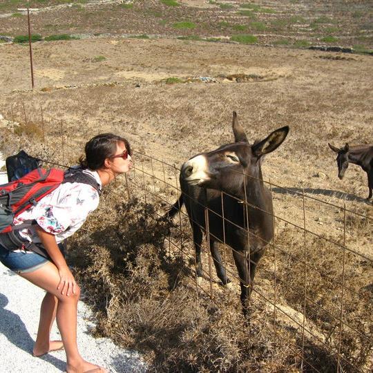 Adélaïde Chassort Profile