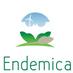 Bureau Endemica (@bureauendemica) Twitter profile photo