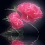 ‏لــيـــت ربــي مــاكــتــبـ لــحـــظــة وداع
🌹🌹🌹🌹🌹🌹🌹
 Information Technology and Software Engineering
Company
CC for alternative energy xx
