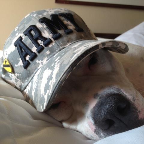 mabess_bess's profile picture. 