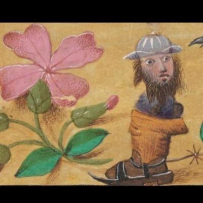 jullenbullen's profile picture. hej hej