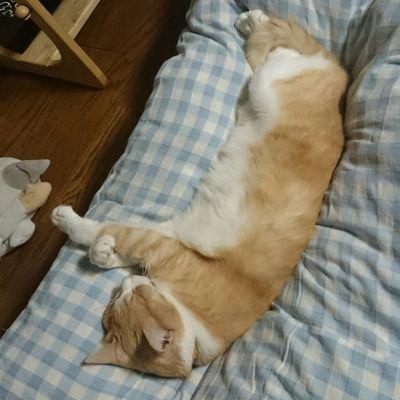 【生活】研究室にこもって日夜、研究に励んでいます。
【趣味】麻雀/因数分解
【愛用品】たばこ/関数電卓/曲線定規
　