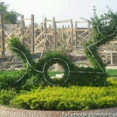 mohamedkarim721's profile picture. 