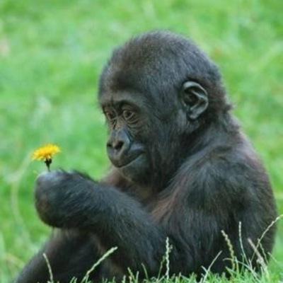 笑う門には福来たる。
中川家・松本人志・尊敬。リツイート多めです。
