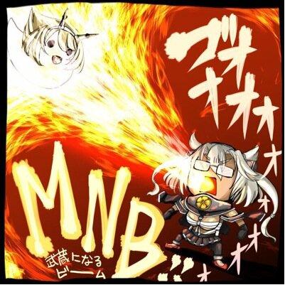 107 ドライパイナップルしのざき