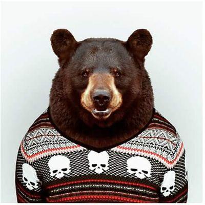 vacuno97's profile picture. 