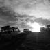 South Downs Ranger (@ranger_sdnpa) Twitter profile photo