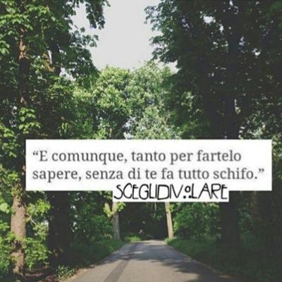 asigiampi's profile picture. 