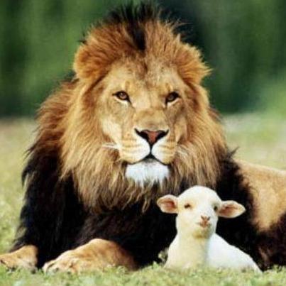 Grateful to be GIVEN the gift of faith by grace by the Spirit - I did not even see Him coming! (John 3:8)