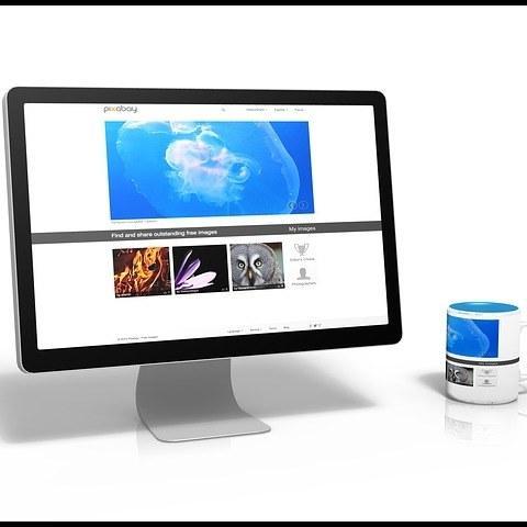 ネットビジネスでお金と自由を得る情報を発信します!フォロー＆RTしてくれると嬉しいです。