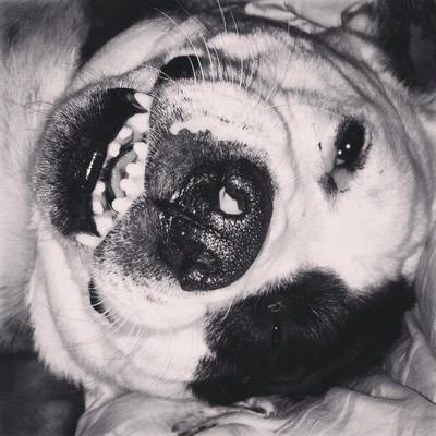 pinkypierce1's profile picture. iRun.