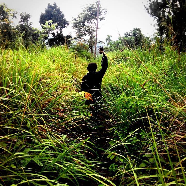 Pertanian Agribisnis @fiska_ica