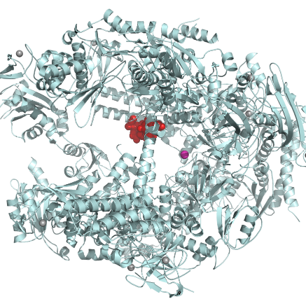 Transcriptome feed using #Rstats by @davetang31. Updates made each day 16:00 EST. Image from https://t.co/V4zET1jchu