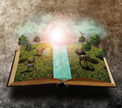 mangokiwi1980's profile picture. 