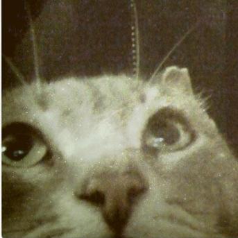 Prrrr