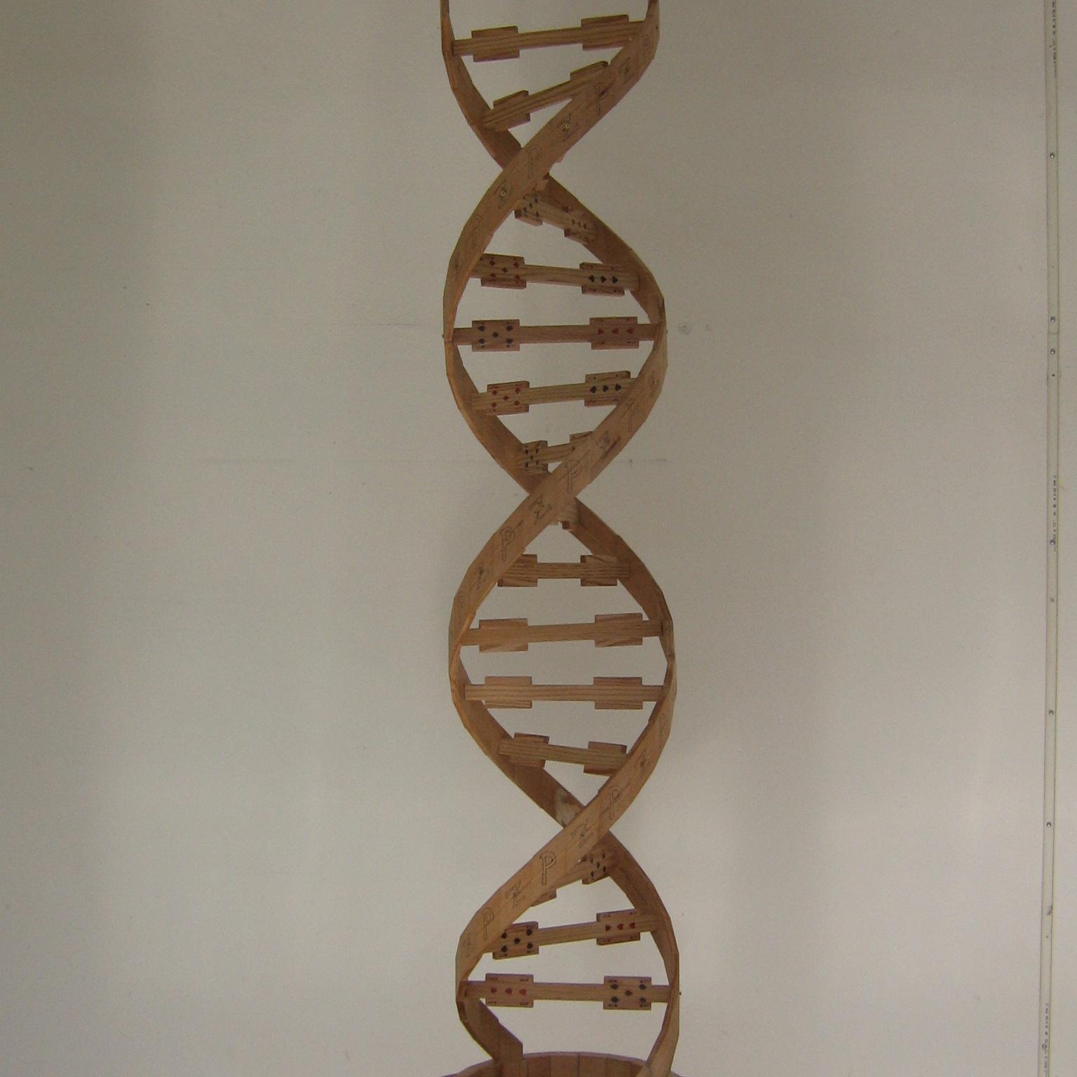 LordaMasci's profile picture. Insegnante di scienze, amante della natura, magnifica opera d'arte!