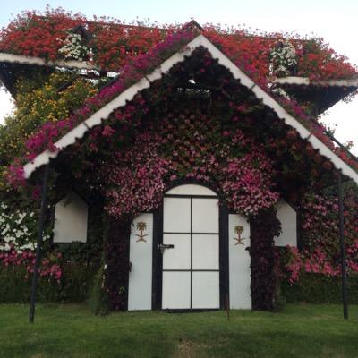 AfnanAbdullah66's profile picture. ذواتآ أغصان..