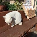 nao (@0214700214) Twitter