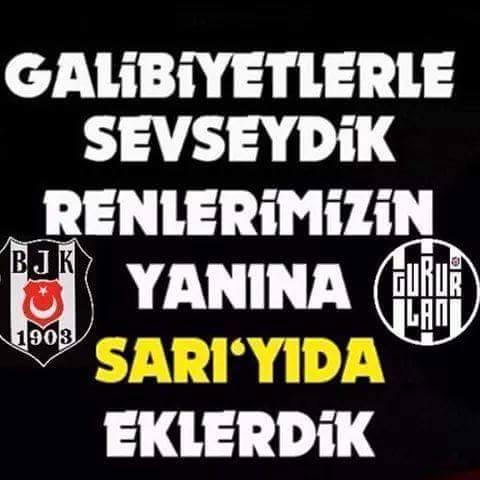 Antitotoriter             

           Karanlık kuruldu geceye