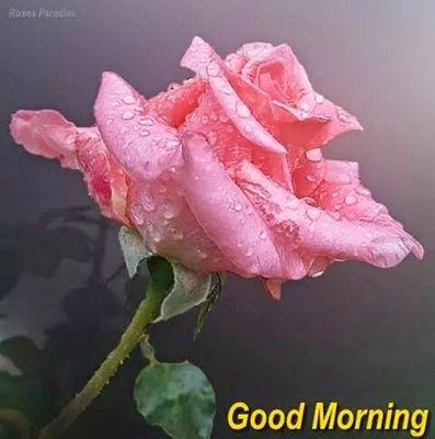 Bombon50Cpm's profile picture. 