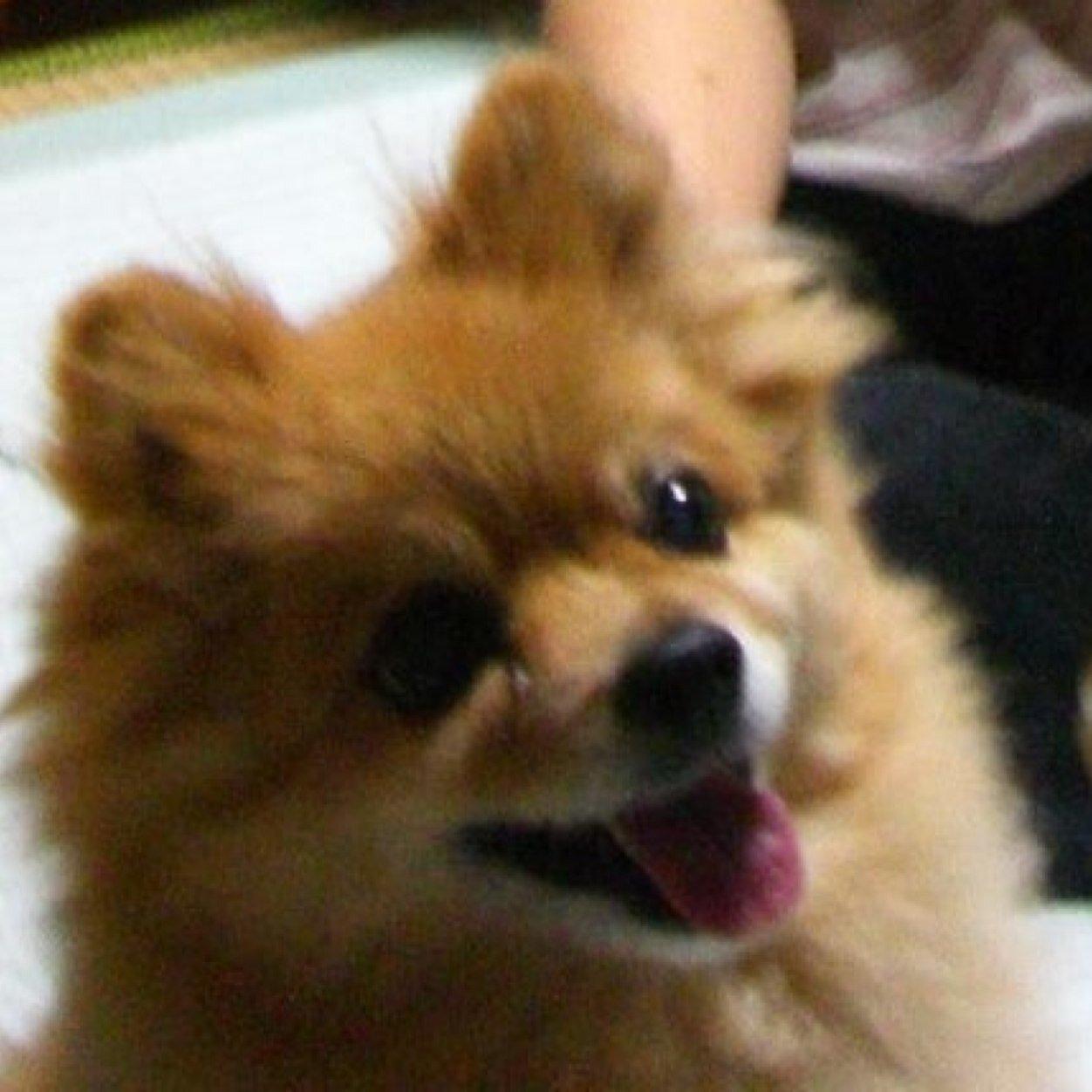 好きな役は一気通貫