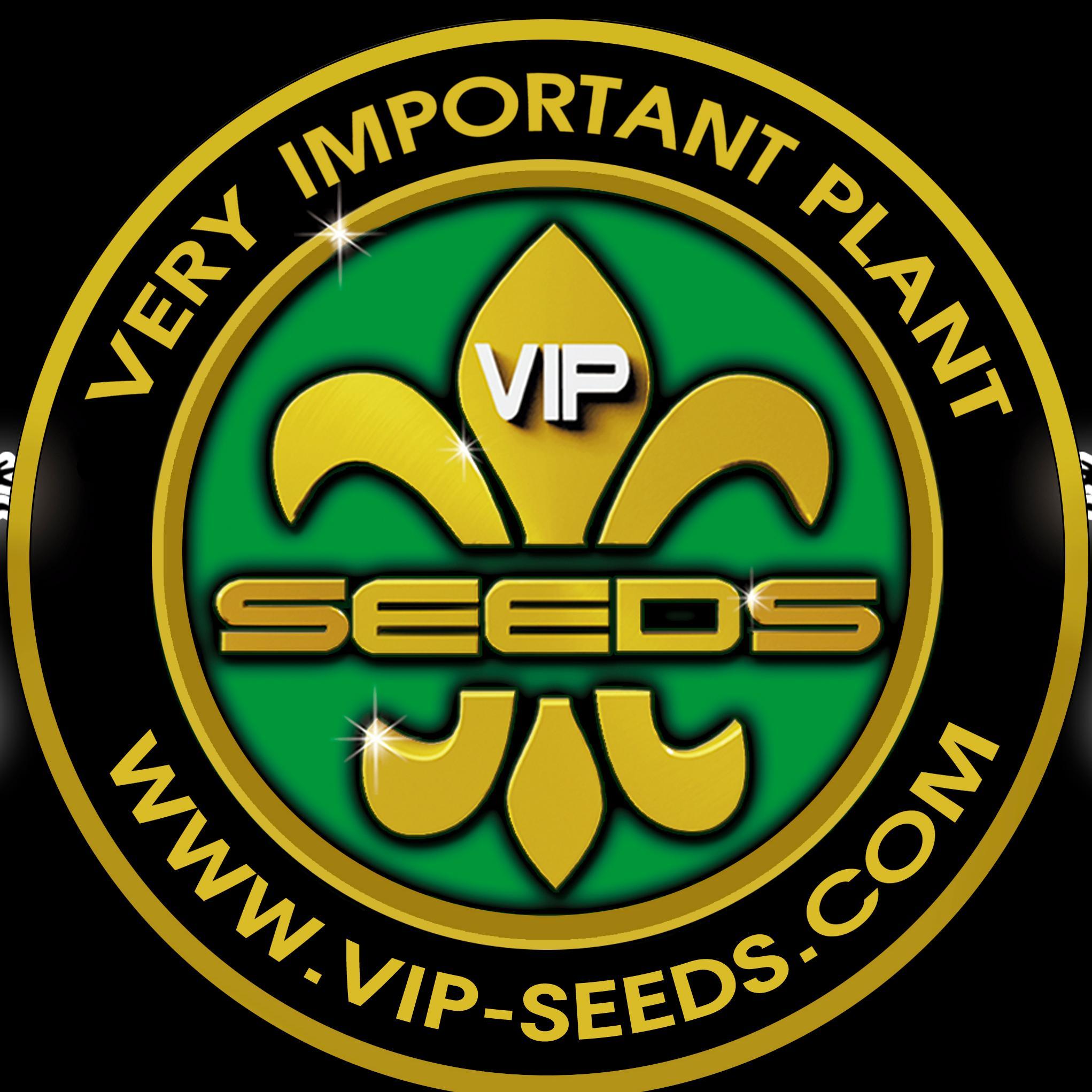 Very Important Plant. Follow we on Facebook, Instagram & Twitter. See our videos in http://t.co/6kwcEqeLEk